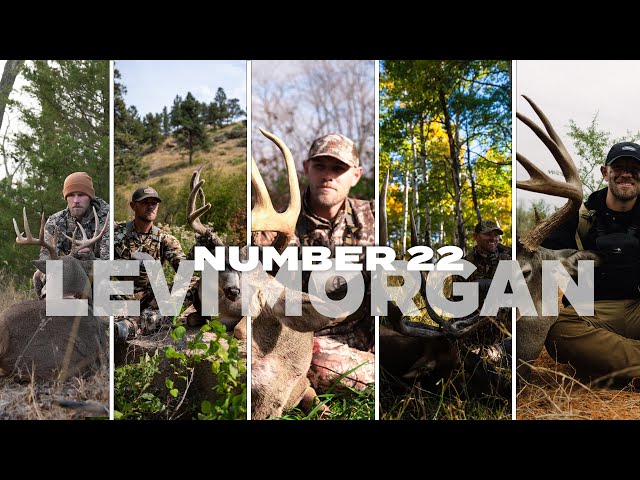 Altra Arrows | Premium Carbon Hunting & Target Arrows