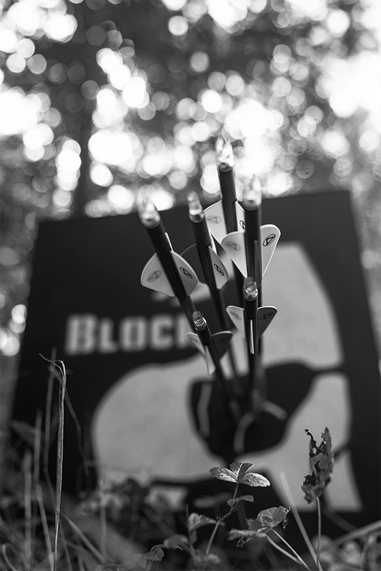 The Altra Edge Altra Arrows