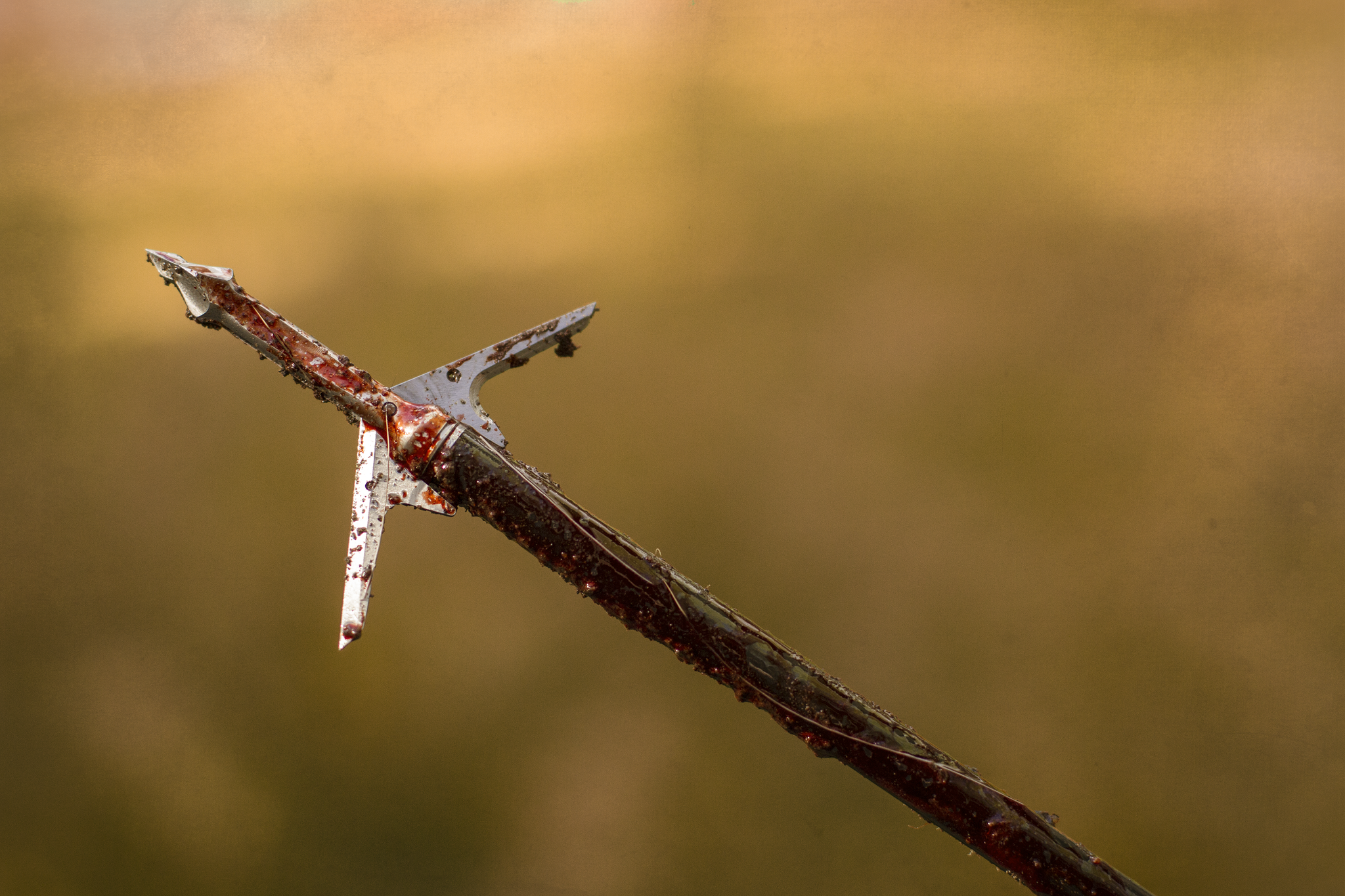 SlickTrick RaptorTrick Mechanical Broadhead - Thumbnail 5
